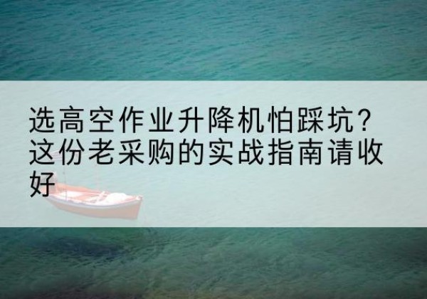 曹妃甸高空作业升降机厂家推荐-选高空作业升降机怕踩坑？这份老采购的实战指南请收好