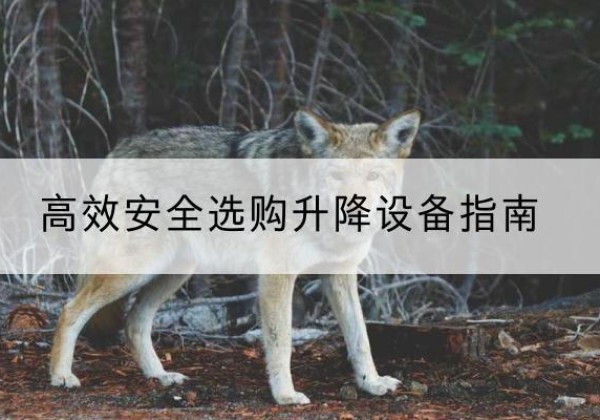 曹妃甸升降货梯厂家推荐-*安全选购升降设备指南