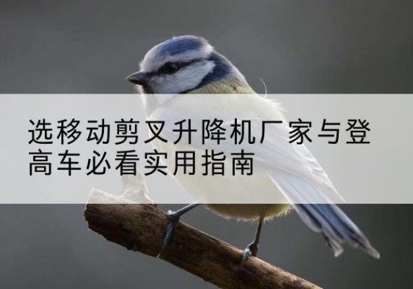 曹妃甸电动升降机厂家-选移动剪叉升降机厂家与登高车必看实用指南